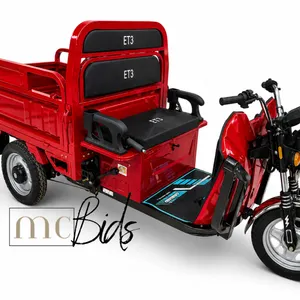 Unused 3 Wheel Electric Tricycle Model ET13- Red