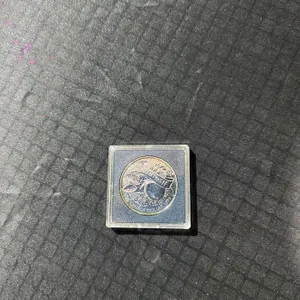 1996 Canada McIntosh Dollar 92.5% Sterling Silver Coin