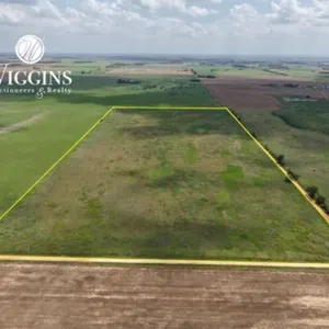 Farm #2 (80 +/- Acres - Productive Cropland)