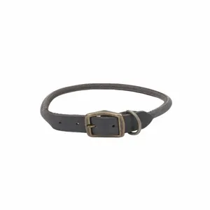 Coastal Dog Collar 1 x 22