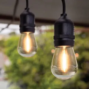 Electric LED String Lights 48ft 24 Bulbs