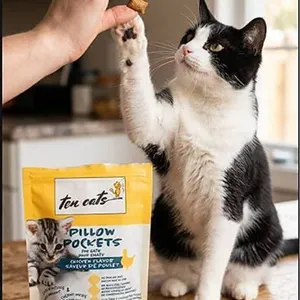Ten Cats Pillow Pockets Chicken Flavor, 6pk x 85g