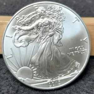 2013 Silver Eagle