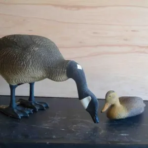 Plastic Decoys