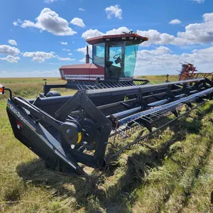 1999 Premier 2920 SP Swather
 UNRESERVED