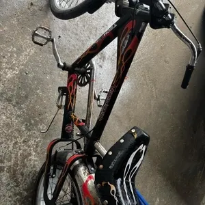 Thunderbird Chopper Bike