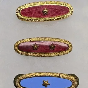 Combat Wound Badge â€œInsignia de Herida de Colomb