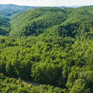Wooded Acreage for Sale in Floyd, VA!