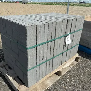 2' x 2' x 1 7/8" Paving Stone - Must Take 20 Times the Bid Price