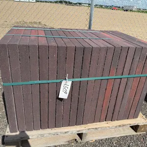 2' x 2' x 1 7/8" Paving Stone - Must Take 20 Times the Bid Price