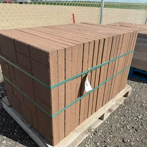 2' x 2' x 1 3/4" Paving Stone - Must Take 20 Times the Bid Price