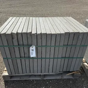 2' x 2' x 1 7/8" Paving Stone - Must Take 20 Times the Bid Price
