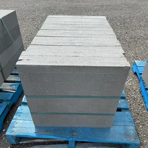 2' x 2' x 1 7/8" Paving Stone - Must Take 20 Times the Bid Price