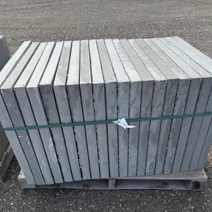2' x 2' x 1 7/8" Paving Stone - Must Take 20 Times the Bid Price