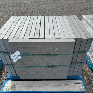 2' x 2' x 1 7/8" Paving Stone - Must Take 20 Times the Bid Price