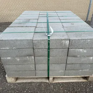 Approx. 1' x 1' x 3 3/8" Paving Stone - Must Take 60 Times the Bid Price