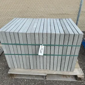 2' x 2' x 1 3/4" Paving Stone - Must Take 20 Times the Bid Price