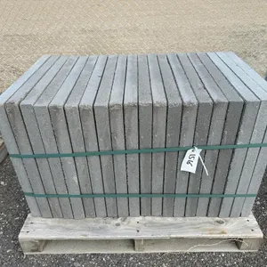 2' x 2' x 1 7/8" Paving Stone - Must Take 20 Times the Bid Price