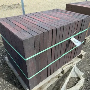 2' x 2' x 1 3/4" Paving Stone - Must Take 20 Times the Bid Price
