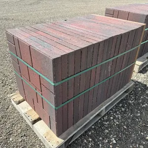 2' x 2' x 1 3/4" Paving Stone - Must Take 20 Times the Bid Price