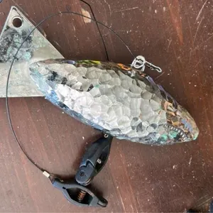Large down rigger weight