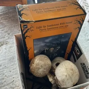 Halloween decor / skulls