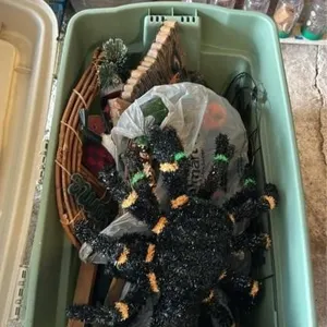 Halloween decorations