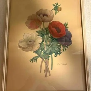 Pierre -Josheph Redoute -Framed Botanical Print
