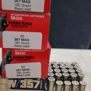 .357 magnum