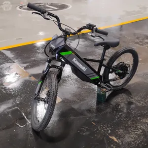 2025  Kawasaki  Electrode 20