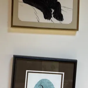 Fluffy Black Cat Artwork and Skinny Black Cat -WOW