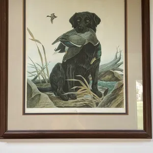 Decoy Sporting Dog Series John Ruthven