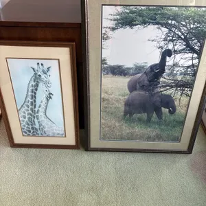 T russell Signed Giraffe and Elephant Custom Framed