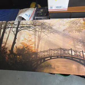 Beautiful canvas bridge picture