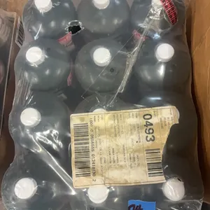 12 CANS PROPANE FUEL CYLINDERS