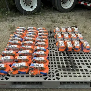 SKLP Ratchet Straps
 UNRESERVED