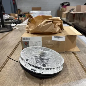 INTERNATIONAL REAR BACK UP LIGHT