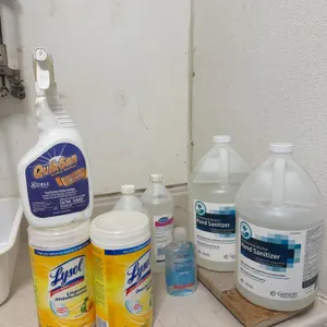 Cleaning and Sanitizing Supplies Lot
