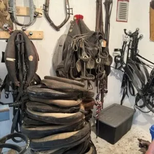 Many Horse Collars (Sold Separately Later)