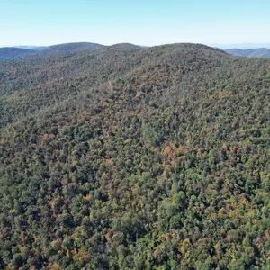 Hist. 58AC Mountain Retreat Borders Shenandoah National Park