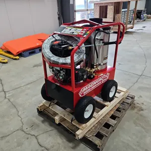 Magnum Gold 4000 Pressure Washer