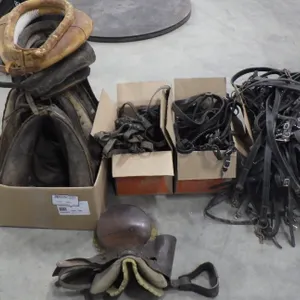 Lot of Assorted Horse Harness/Tack Equipment