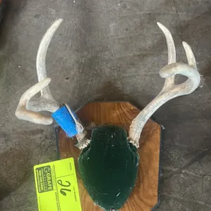 A Mounted Set of Deer Antlers. (Custom, 1999) A set of deer antlers mounted on a shield-shaped wooden plaque. Features a green velvet-covered skull ca
