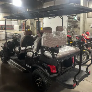 SDLGC100 Golf Cart (B)