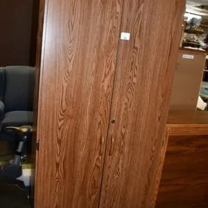 2-Door Particle Wood Cabinet, No Key, Unlocked, Measures 28 x 16 x 72