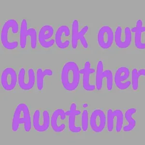 We have several other auctions going on right now!