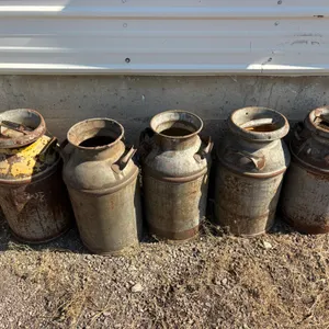 (5) Milk Cans, Buying All for One Money