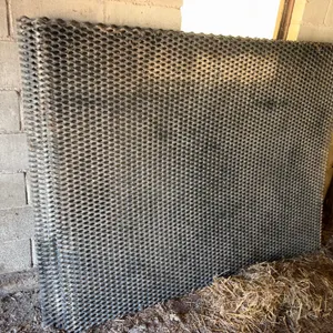 (6) Tenderfoot, 5’x77”, Buying All for One Money