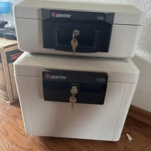 2+/-  Sentry Fire Resistance Safes