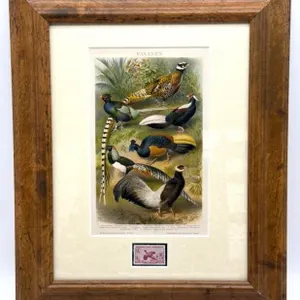 Vintage Nebraska Game Commission Pheasant and
